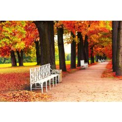 Vlies Fotótapéta - White Bench in the Park - 375x250 cm