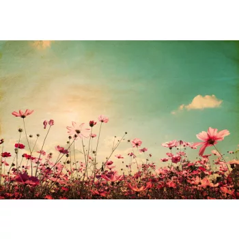   Vlies Fotótapéta - Vintage Landscape with Flowers - 375x250 cm