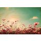 Vlies Fotótapéta - Vintage Landscape with Flowers - 375x250 cm