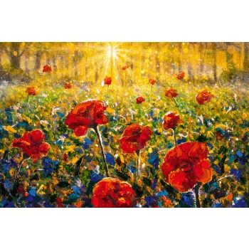   Vlies Fotótapéta - Sunrise Sunset in forest landscape - 375x250 cm