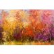 Vlies Fotótapéta - Colorful autumn trees - 375x250 cm