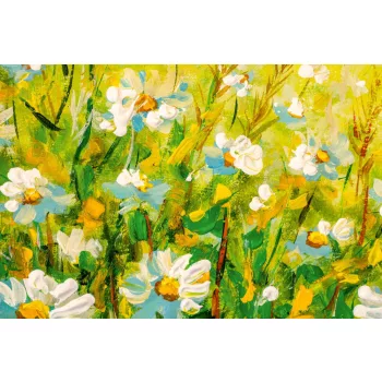 Vlies Fotótapéta - Daisy flowers field - 375x250 cm