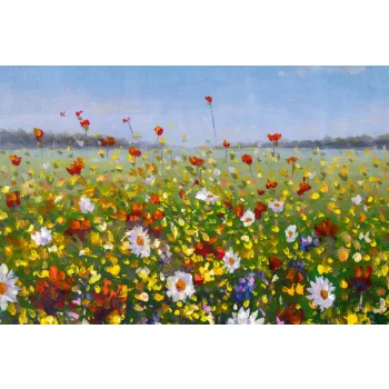   Vlies Fotótapéta - Beautiful field flowers on canvas - 375x250 cm