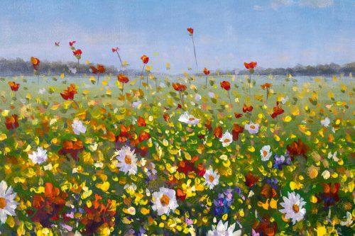 Vlies Fotótapéta - Beautiful field flowers on canvas - 375x250 cm