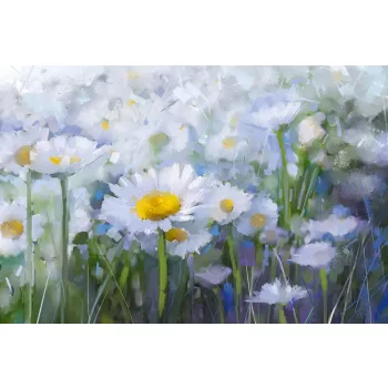   Vlies Fotótapéta - Oil painting white Daisy flowers - 375x250 cm