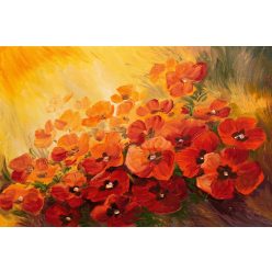   Vlies Fotótapéta - Abstract illustration of poppies - 375x250 cm