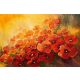 Vlies Fotótapéta - Abstract illustration of poppies - 375x250 cm