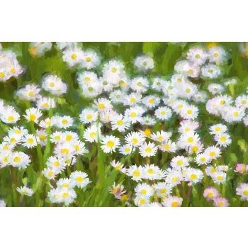 Vlies Fotótapéta - Oil painting spring meadow - 375x250 cm