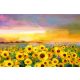 Vlies Fotótapéta - Oil painting sunflowers - 375x250 cm