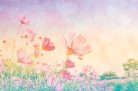 VINTAGE PASTEL FLOWERS fotótapéta, poszter, vlies alapanyag, 375x250 cm