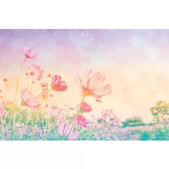   VINTAGE PASTEL FLOWERS fotótapéta, poszter, vlies alapanyag, 375x250 cm
