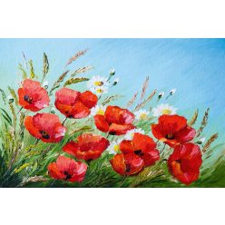 Vlies Fotótapéta - Poppies in the field - 375x250 cm