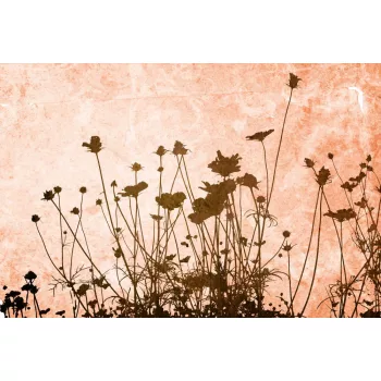   FLOWER ABSTRACT TEXTURE fotótapéta, poszter, vlies alapanyag, 375x250 cm