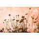 FLOWER ABSTRACT TEXTURE fotótapéta, poszter, vlies alapanyag, 375x250 cm