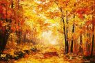 Vlies Fotótapéta - Colorful autumn forest - 375x250 cm