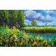 Vlies Fotótapéta - Field of tall grass and flowers - 375x250 cm