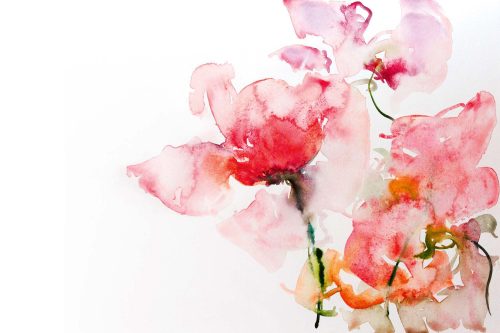 Vlies Fotótapéta - Watercolor flowers - 375x250 cm