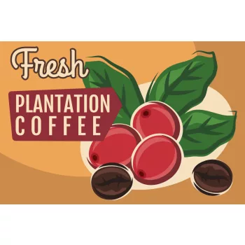Vlies Fotótapéta - Coffee Plantation Sign - 375x250 cm