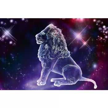Vlies Fotótapéta - Lion - 375x250 cm