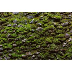 Vlies Fotótapéta - Moss on old stone wall - 375x250 cm