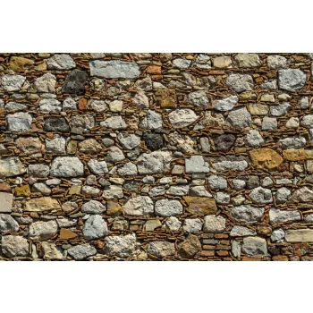 Vlies Fotótapéta - Natural pattern  - 375x250 cm
