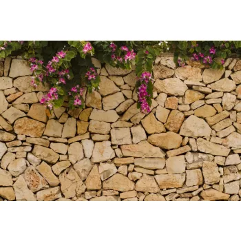 Vlies Fotótapéta - Stone wall with blooms - 375x250 cm