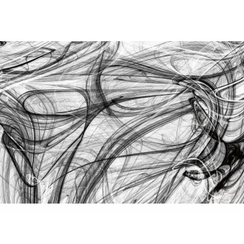 Vlies Fotótapéta - black and white desing  - 375x250 cm
