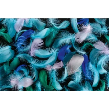   Vlies Fotótapéta -  blue, green and pink feathers  - 375x250 cm