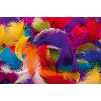   Vlies Fotótapéta - Colorful feather background - 375x250 cm