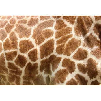   GENUINE LEATHER  OF GIRAFFE fotótapéta, poszter, vlies alapanyag, 375x250 cm