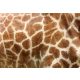 GENUINE LEATHER  OF GIRAFFE fotótapéta, poszter, vlies alapanyag, 375x250 cm