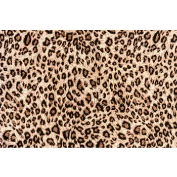   Vlies Fotótapéta - striped leopard for background - 375x250 cm