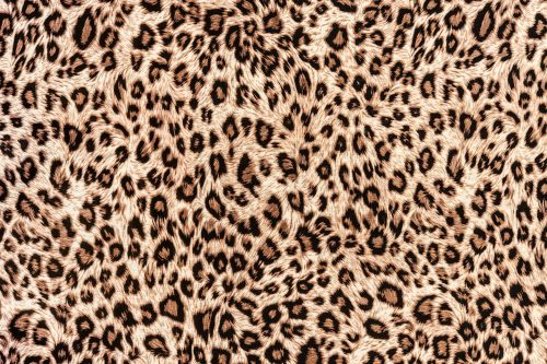 Vlies Fotótapéta - striped leopard for background - 375x250 cm