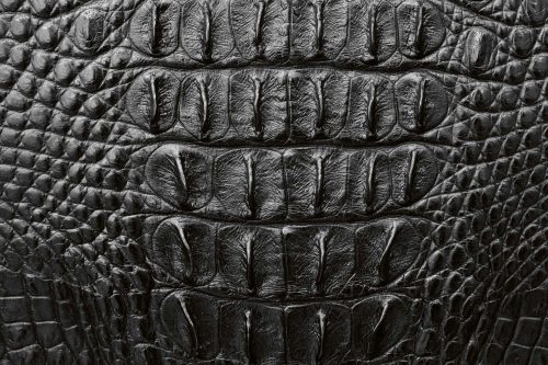 Vlies Fotótapéta - grey crocodile skin - 375x250 cm