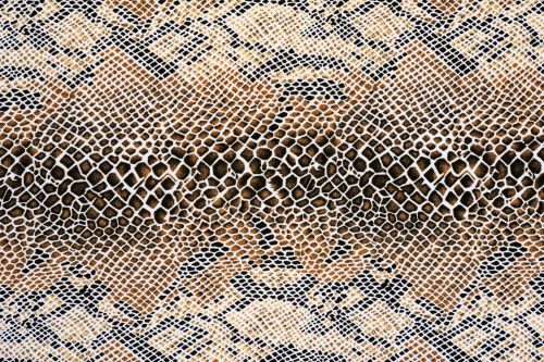 Vlies Fotótapéta - Snake texture - 375x250 cm