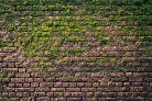 Vlies Fotótapéta - Brick wall with moss  - 375x250 cm