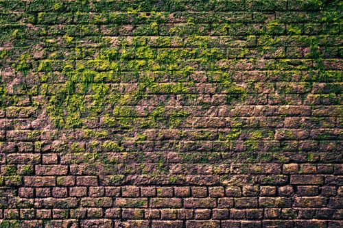 Vlies Fotótapéta - Brick wall with moss  - 375x250 cm