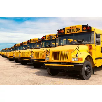 Vlies Fotótapéta - School buses - 375x250 cm