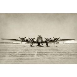 Vlies Fotótapéta - Heavy bomber - 375x250 cm