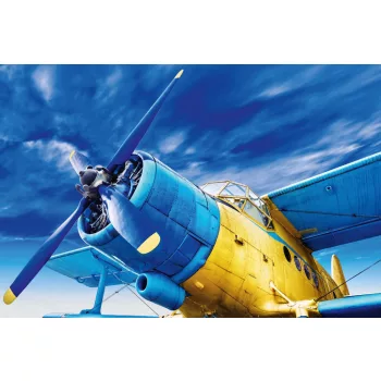 Vlies Fotótapéta - Vintage airplane - 375x250 cm