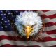 Vlies Fotótapéta - American Eagle on Flag - 375x250 cm