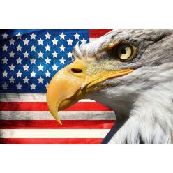   Vlies Fotótapéta - Eagle Portrait with US Flag - 375x250 cm