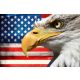 Vlies Fotótapéta - Eagle Portrait with US Flag - 375x250 cm