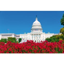 Vlies Fotótapéta - The Capitol with Flowers - 375x250 cm