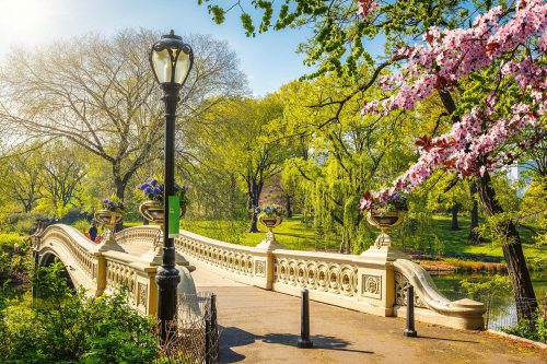 Vlies Fotótapéta - Brigde in Central Park - 375x250 cm