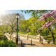 Vlies Fotótapéta - Brigde in Central Park - 375x250 cm