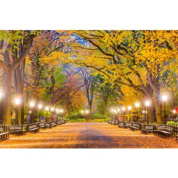 Vlies Fotótapéta - Central Park in Autumn - 375x250 cm