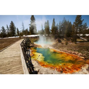 Vlies Fotótapéta - Yellowstone Park - 375x250 cm