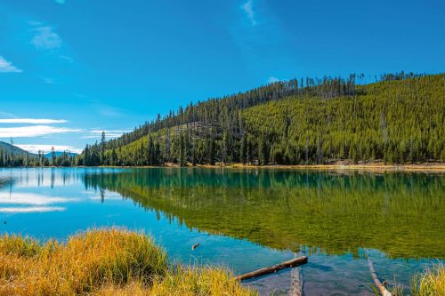 Vlies Fotótapéta - Yellowstone National Park - 375x250 cm