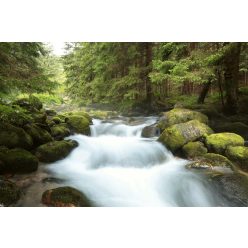 Vlies Fotótapéta - Tatra national park - 375x250 cm